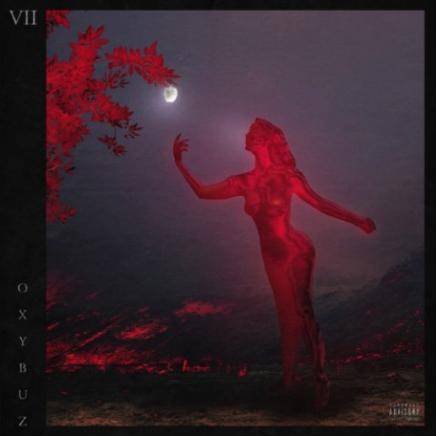 VII cover art